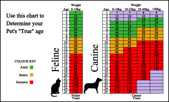 Pets ER - Surveillance Screening